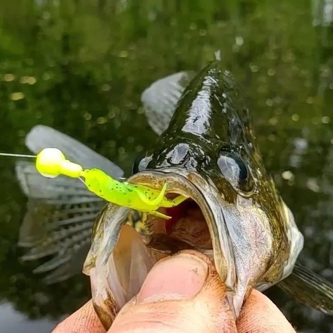 Crappie Fishing Plastics