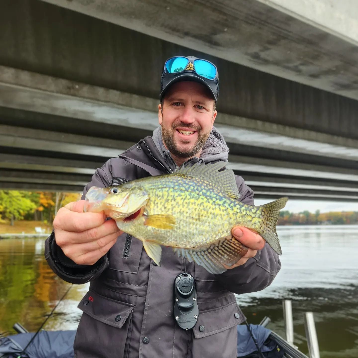 Best Fall Panfish Plastics and Tactics