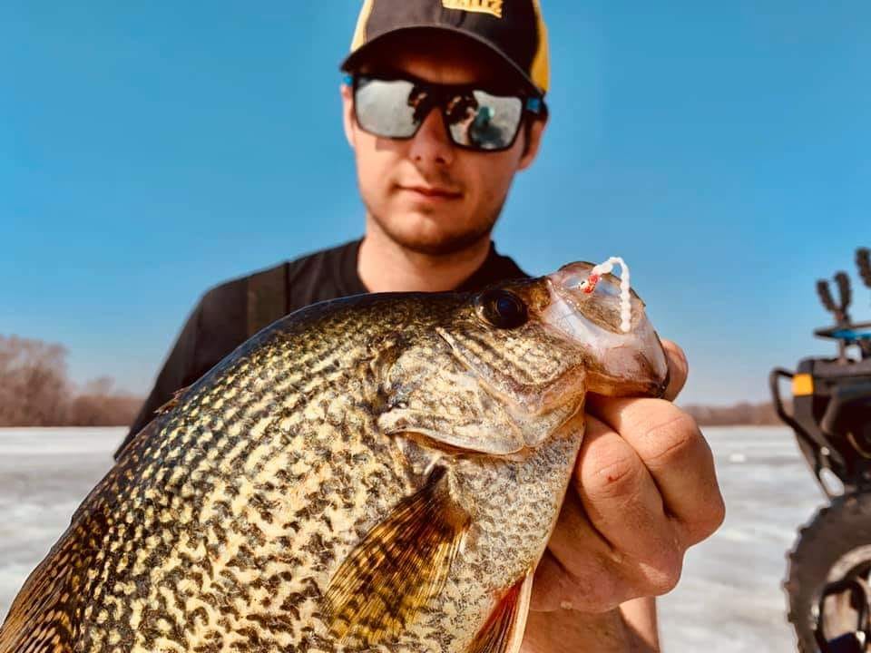 Trophy Crappie on the Destroyer Panfish Plastic