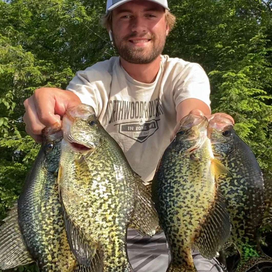 Crappies on the Bonita Plastic