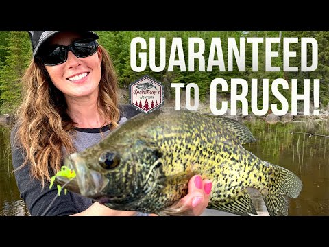 SJTV Essential Panfish Kit