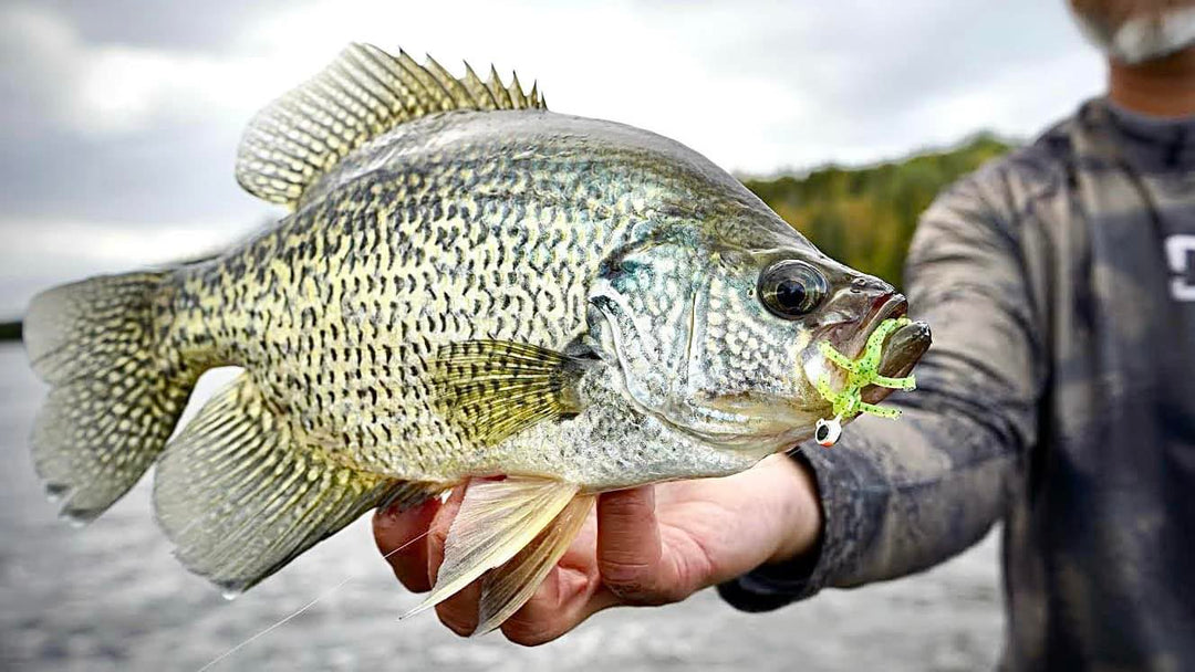 Panfish Plastics: 11 Techniques You NEED to Be Using