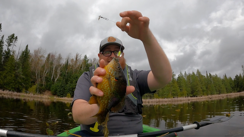 Top 5 Panfish Plastics to Fill Your Bucket This Season – Freedom Baitz