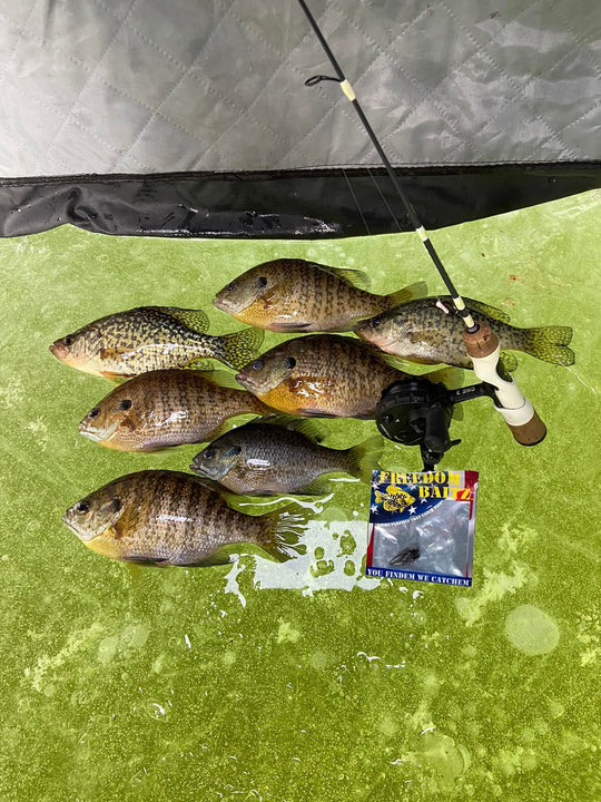 LToutdoors All Seasons All Species Kit