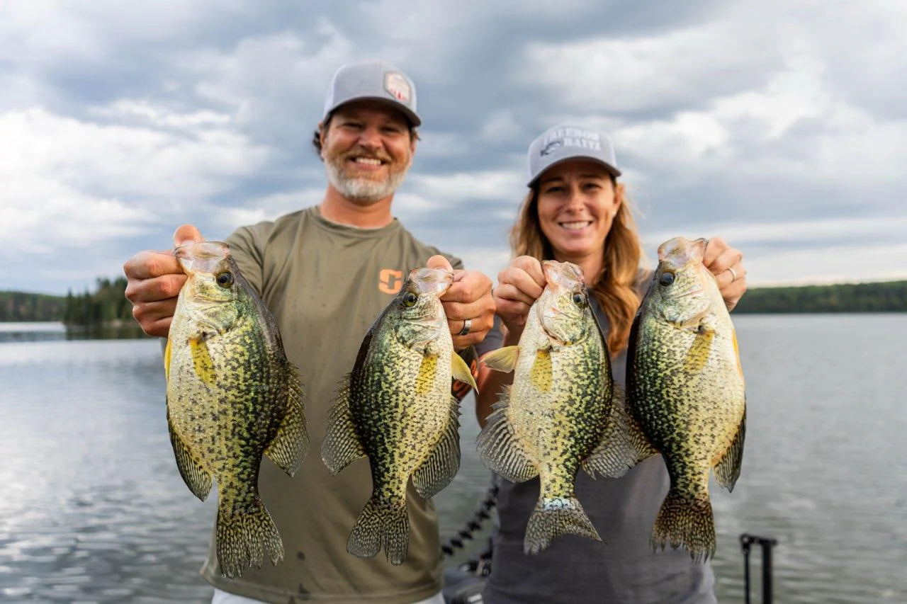 Crappies caught on the DMR plastic