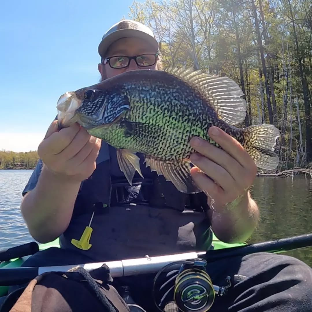 LToutdoors All Seasons All Species Kit