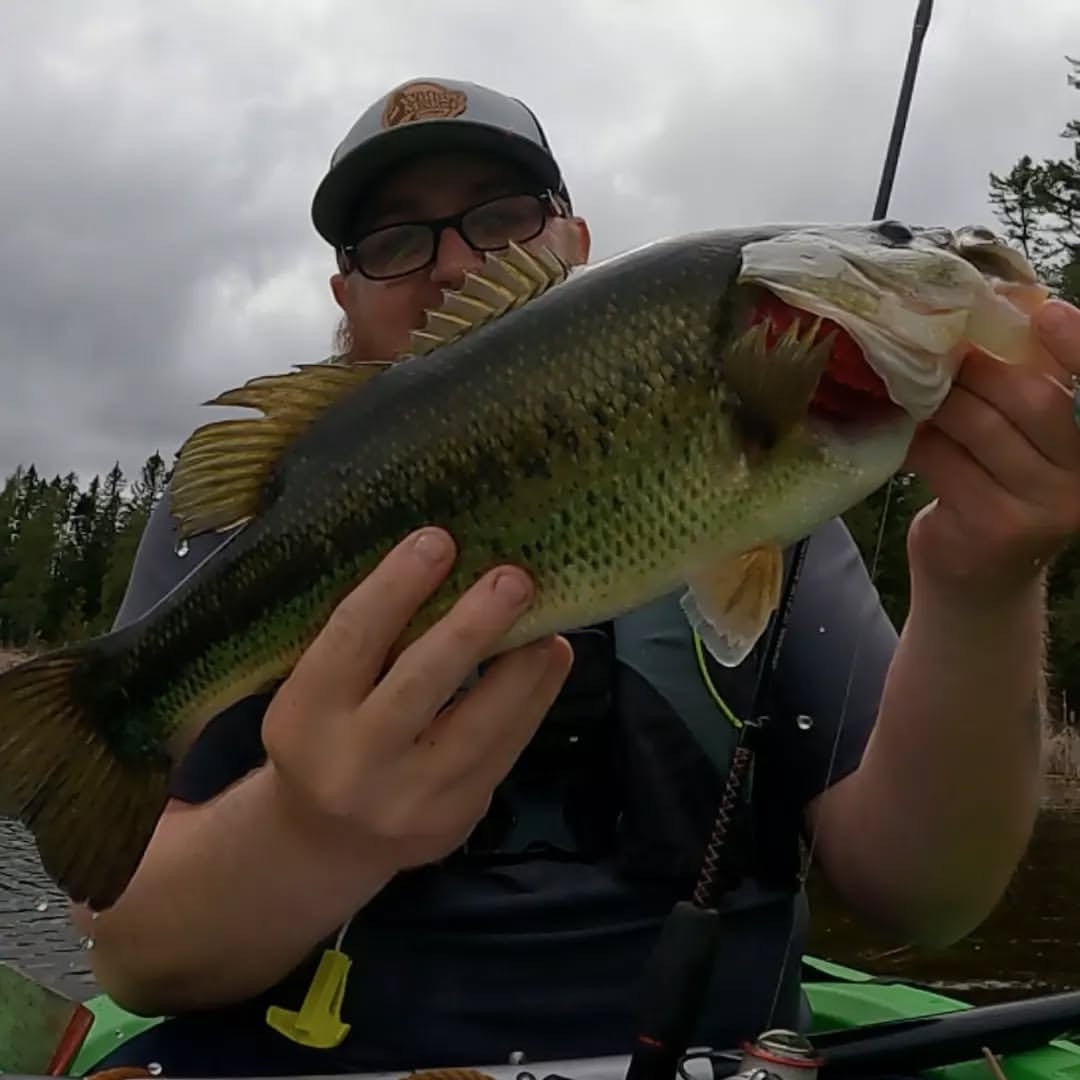 LToutdoors All Seasons All Species Kit