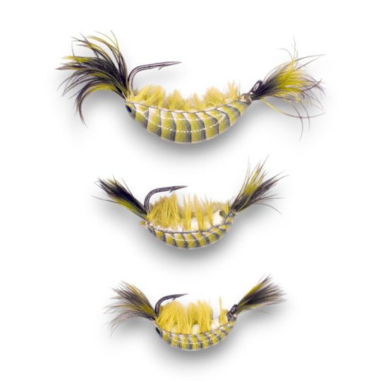 OLIVE GREEN TUNGSTEN GLOW NATURAL SHRIMP SERIES