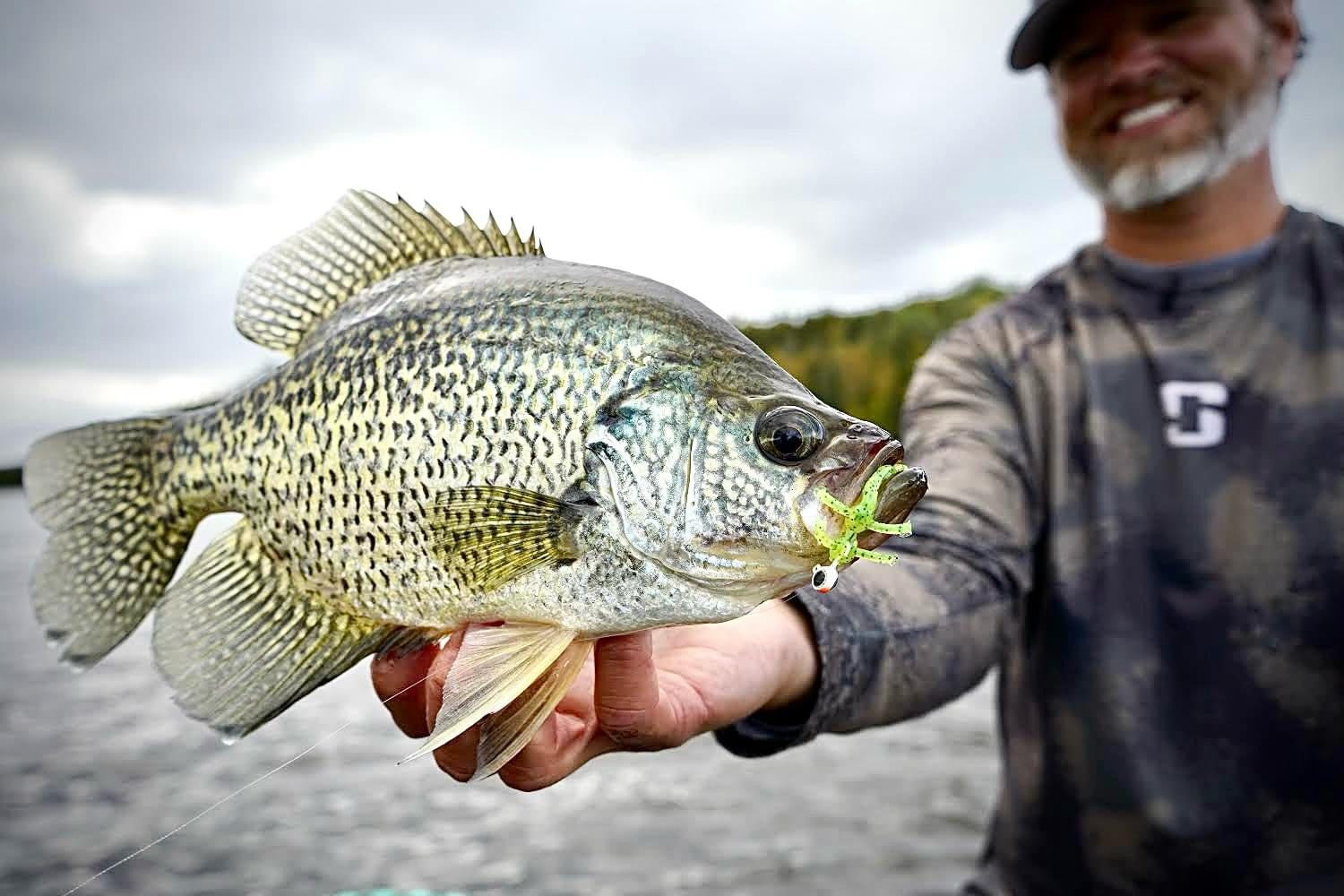 Trophy Crappie caught on the Hornet soft plastic